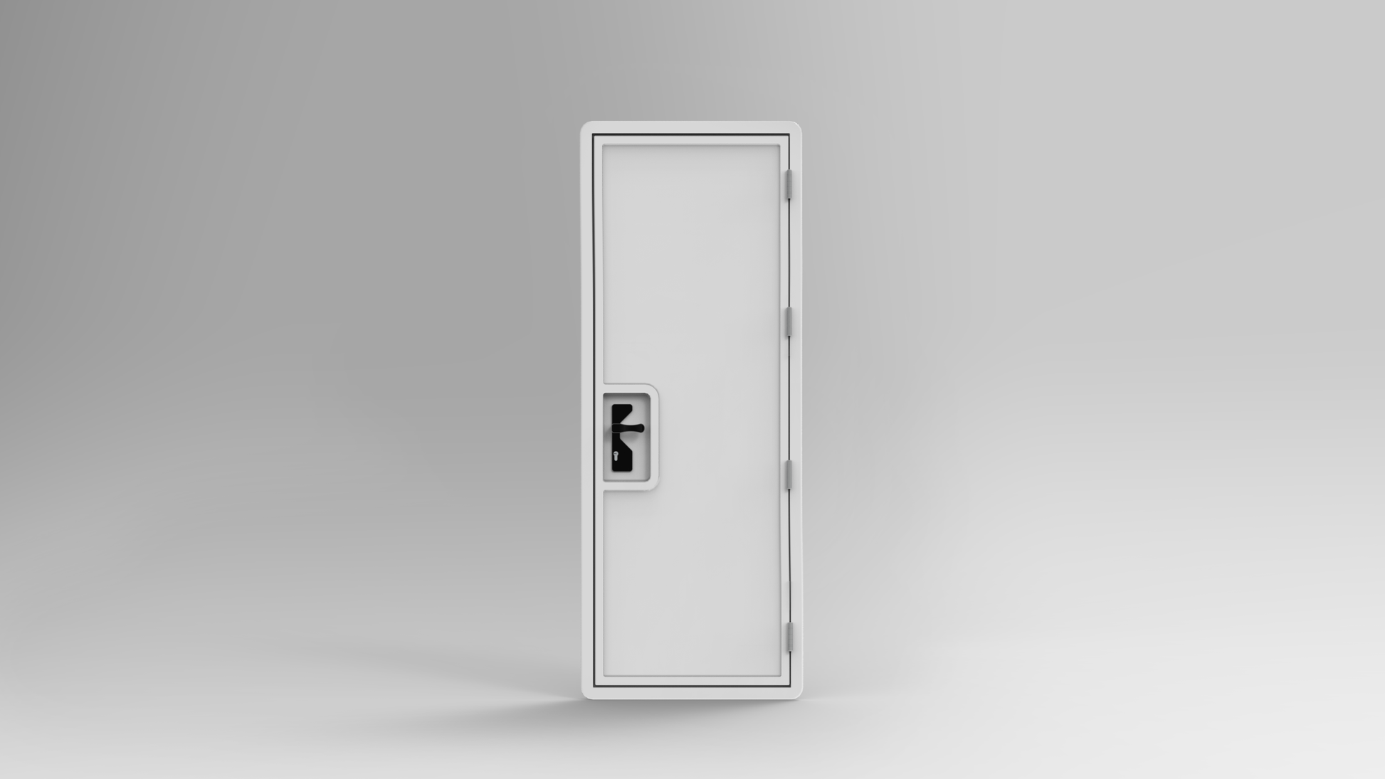 Entrance Door - 0.65 x 2m (SKU 5110)