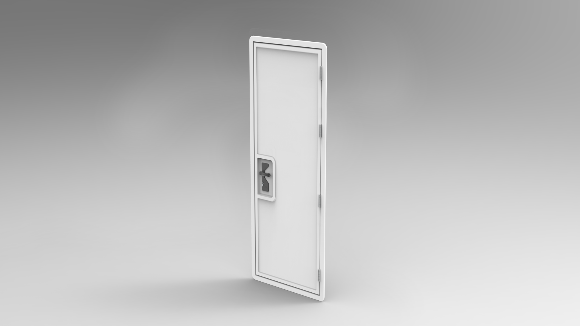 Entrance Door - 0.65 x 2m (SKU 5110)