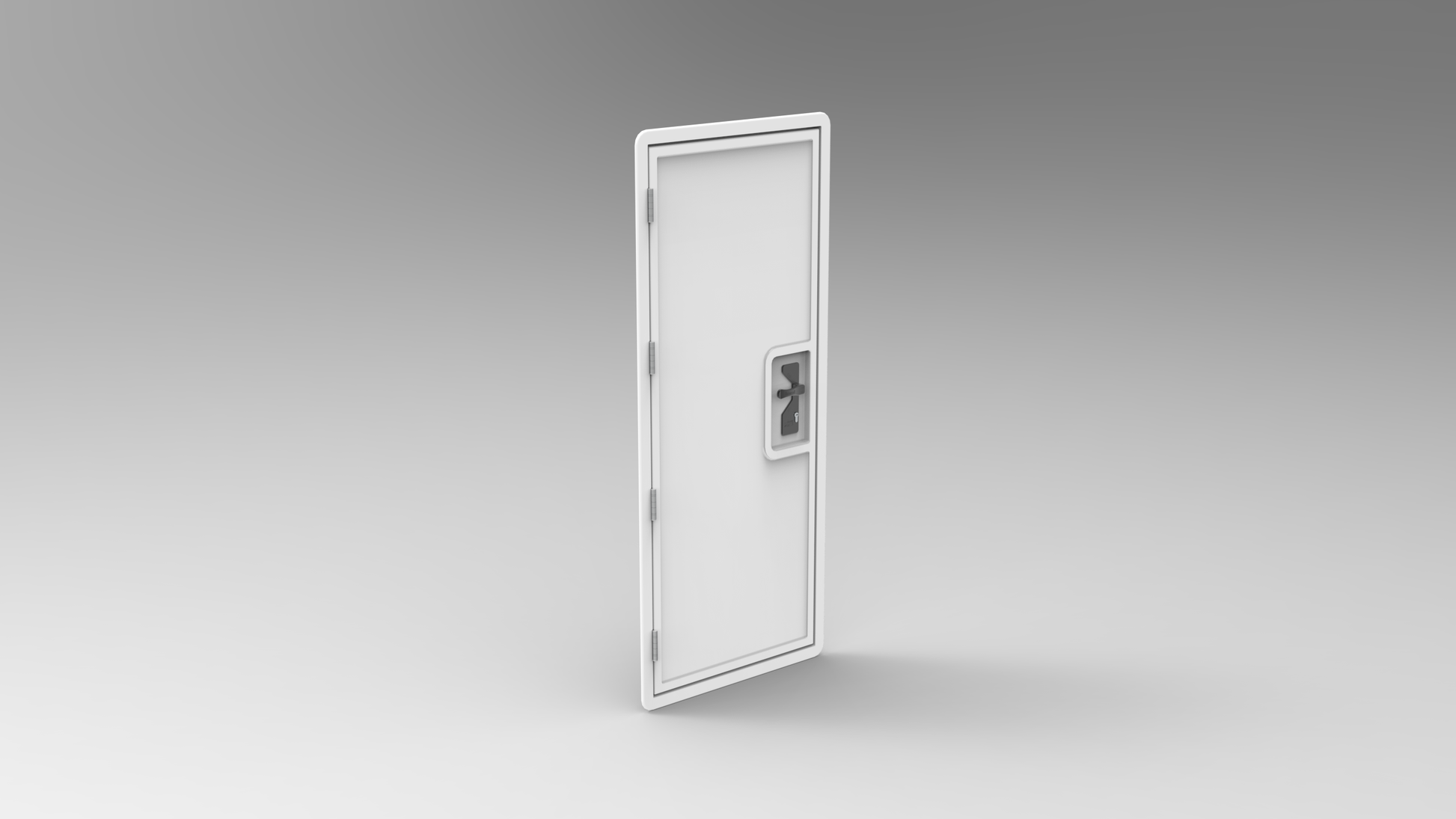 Entrance Door - 0.65 x 1.75m (SKU 0246)